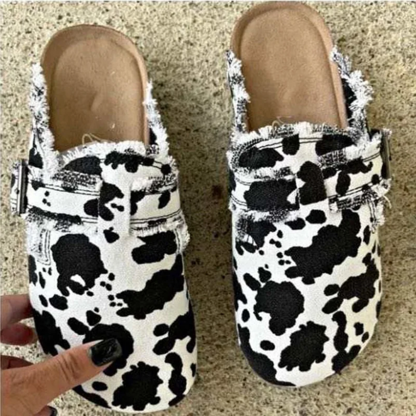 Clogg's Cow